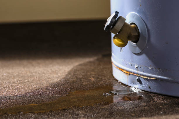 Best Carpet water damage restoration  in Friendswood, TX
