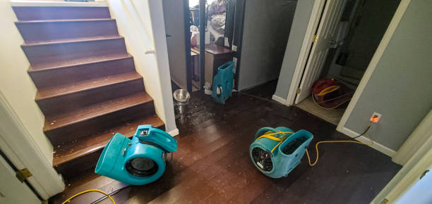 24/7 water damage repair in Friendswood, TX