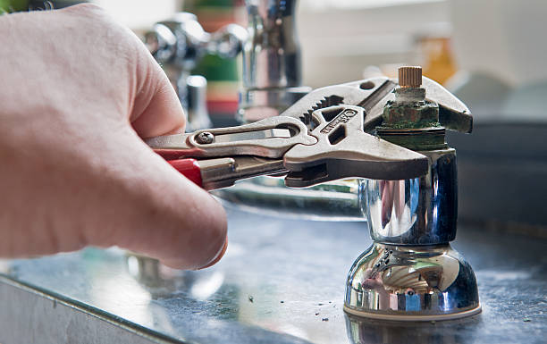 Best Professional water damage repair  in Friendswood, TX