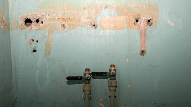 Best 24/7 water damage repair  in Friendswood, TX